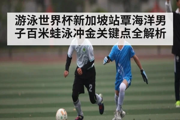 游泳世界杯新加坡站覃海洋男子百米蛙泳冲金关键点全解析